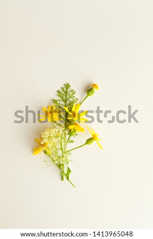 Wildflowers bouquet on white background. Top view