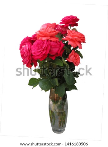     Isolated bouquet of roses in a glass vase.                           