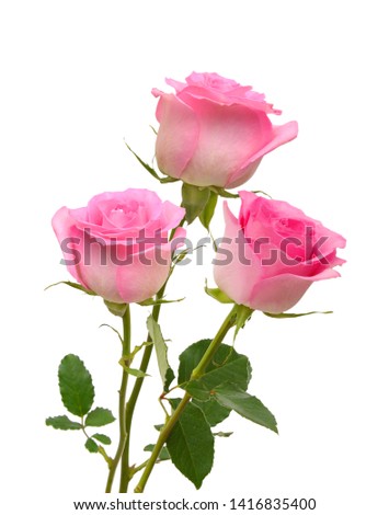 Wedding pink roses bouquet isolated on white background 