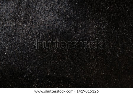 The texture of the skin and wool of a pig, horse, cow, sheep.
Background for design.