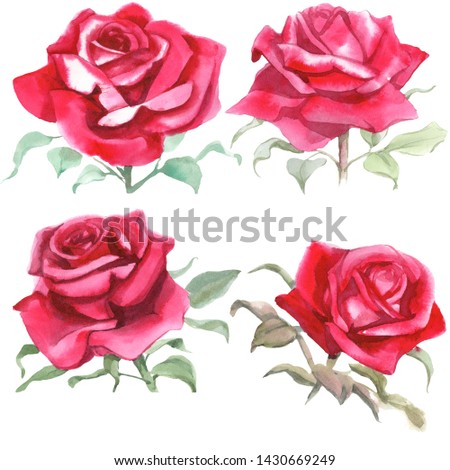 Set of Red roses. Watercolor Illustration. Isolated