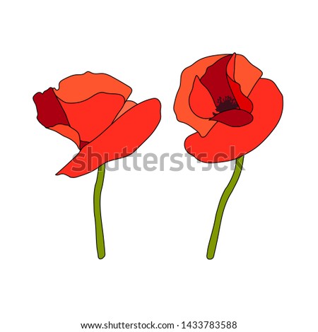 Two Poppy red flowers heads and stems. Anzac. Side view. Flat sketch style. Scarlett petals. Day of Remembrance. Vector illustration. Papaveroideae. Papaver somniferum. cards invitation decoration