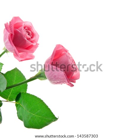 rose stationery