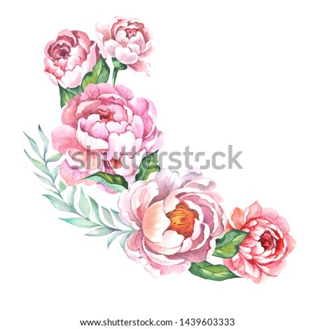 flowers illustration with watercolor peonies