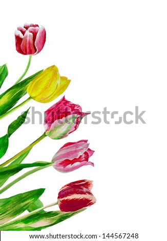 Background with bouquet of tulips.Watercolor illustration