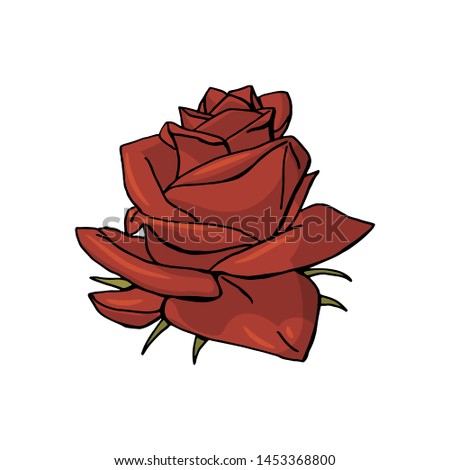 hand drawn rose flower. floral design element isolated on white background. stock illustration.