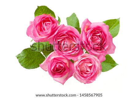 Beautiful rose flowers bunch isolated on white background