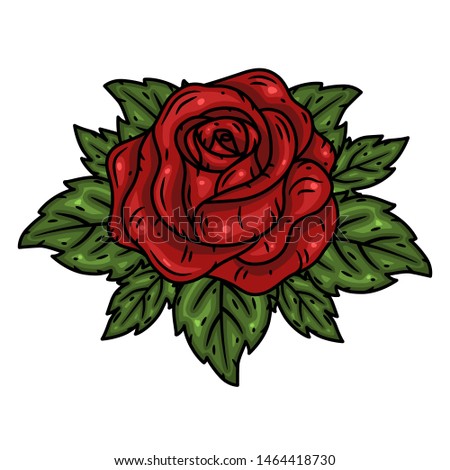 Red rose. Vector illustration isolated on white background. 