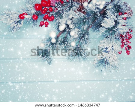 winter christmas background with fir branches cones and snow on blue wooden texture                              