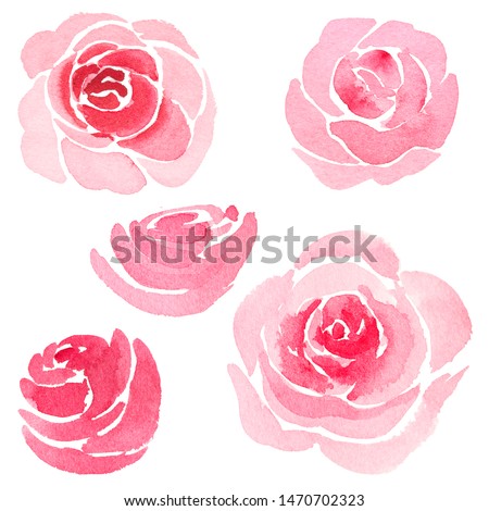 Set watercolor pink roses illustration isolation. Beautiful floral wedding.