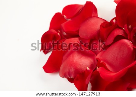 Rose petals background 