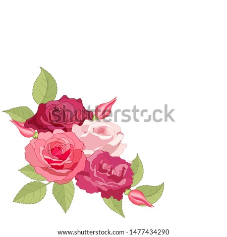 The rose elegant card. Beautiful bouquet of pink flowers and leaves. Floral arrangement isolated on background. Design greeting card and invitation of the wedding, birthday. Red. Vector illustration. 