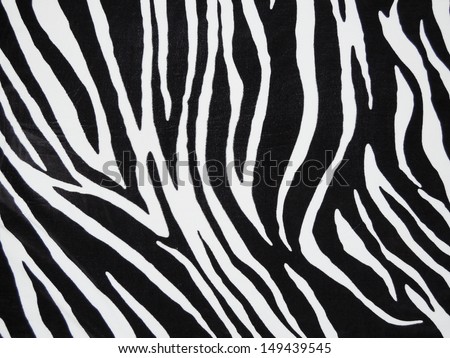 Texture of black and white zebra textile