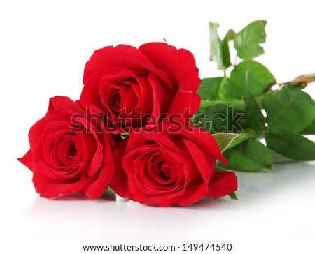 Beautiful bouquet of roses isolated on white
