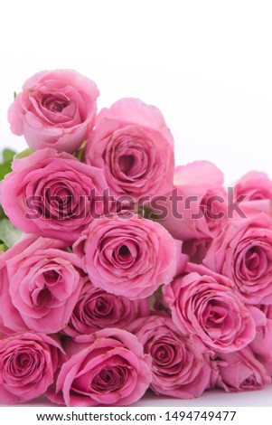 Border of bunch of multiple pink roses
