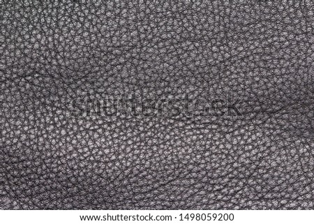 Leather texture black color. Genuine leather. Skin outer cover of the animal's body