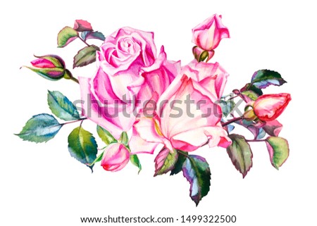 Beautiful pink rose composition. Floral print design. Watercolor painting. 