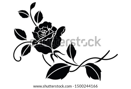 Rose motif sketch for design