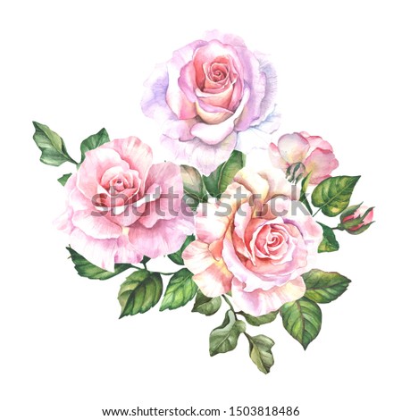 watercolor pink roses with buds and leaves