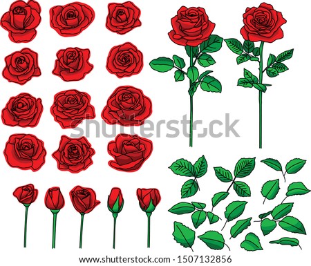 Red roses hand drawn color set. Black line rose flowers. Silhouettes of roses isolated on white background. Vector illustration. beautiful bouquet, design greeting card and invitation of the wedding