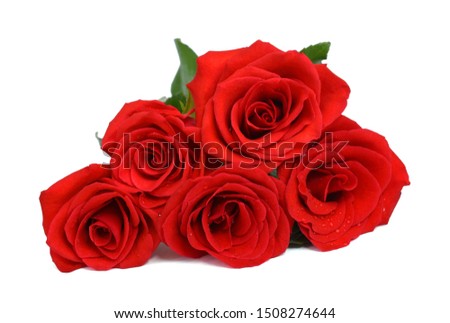 beautiful bouquet of red rose flowers isolated on white background