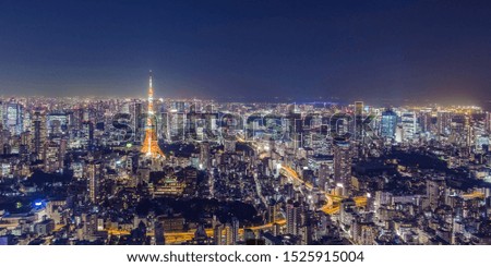 Cityscape of Tokyo skyline, panorama aerial skyscrapers view of office building and downtown in Tokyo in the evening. 