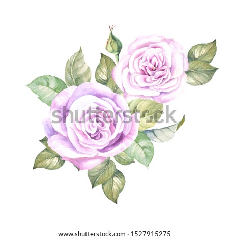 watercolor two roses with leaves.