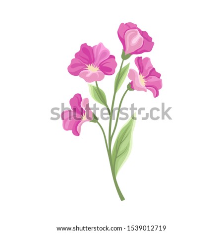 Large pink flowers. Vector illustration on a white background.