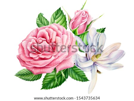 poster, flowers of roses and magnolia on an isolated white background, botanical illustration