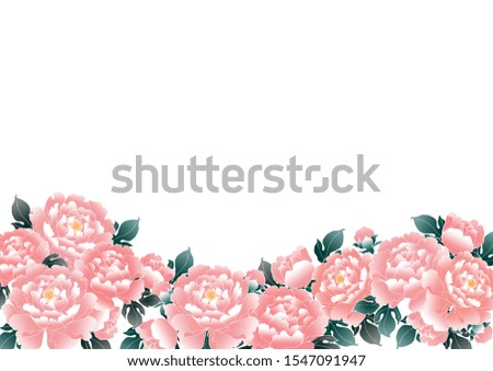 Illustration of pink peony flowers