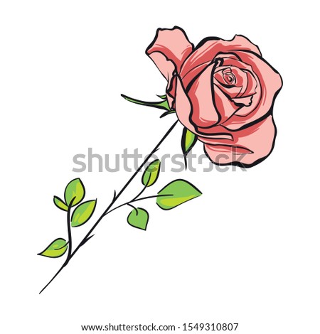 Hand draw vector tatoo illustration of rose with leaves isolated on white background. Rose painted calligraphic brush.  Floral line art with placeholder. 