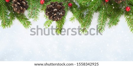 Beautiful Snow-covered Christmas Background decorated with natural fir branches, cones and red holly berries. Wide Angle Frame of Christmas tree on soft background. Panoramic Mockup with copy space