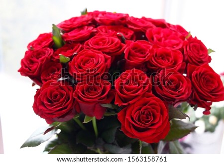 Bouquet of red roses. Fresh Flowers Gift. Postcard. March 8. Valentine's Day. 25 scarlet roses.