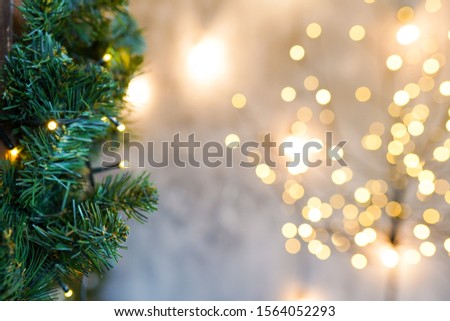 christmas background fir branch on gray wall with lights, greeting card with copy space