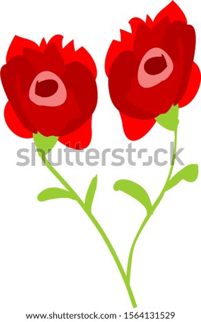 Two Rose Flowers In A Romantic Mood Vector Illustration