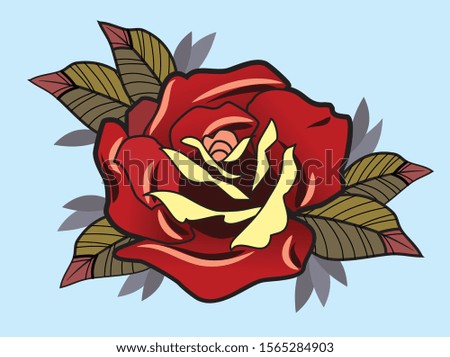 Blooming red rose, vector image.