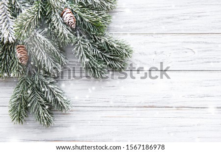 Christmas tree branch with snow and pine cones on white wooden  background with copy space