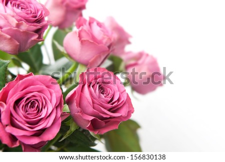 Bouquet of beautiful pink roses on white background 