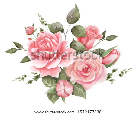 
Watercolor illustrations of tender pink roses. Cute illustration.