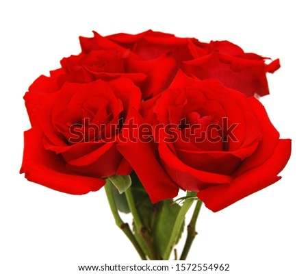 Assorted red rose bunch isolated white