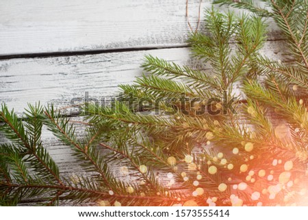 Old tree background with pine and bokeh. New year background,