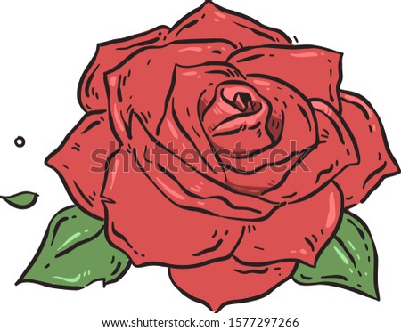 
rose doole . 
rose vector  illustration