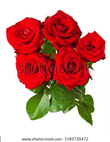 Beautiful red roses flowers bouquet isolated on white background