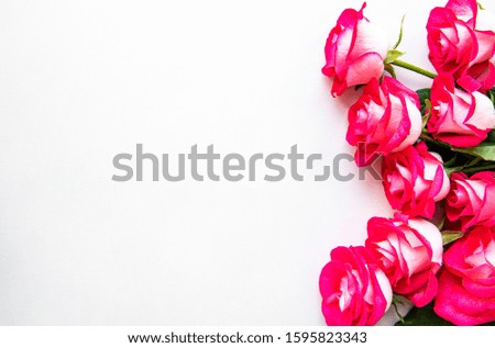 Red roses on a white background, floral border, flat lay, copy space