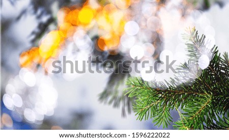 Christmas  Xmas tree with snow decorated with snow abstract background.