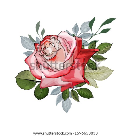 Vector floral bouquet of one red rose and green leaves isolated on white background. Hand drawn. Element for design. Watercolor style. Stock illustration.