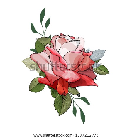 One beautiful flower red rose and green leaves isolated on white. Hand drawn. Element for design. Watercolor style. Vector stock illustration.