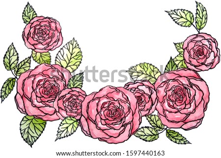 Watercolor/black liner illustration. Pink roses