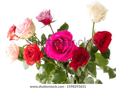 Beautiful rose bouquet isolated on a white background.