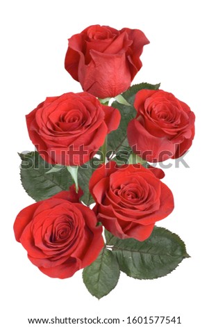 
Five red roses on a white background. Isolated.